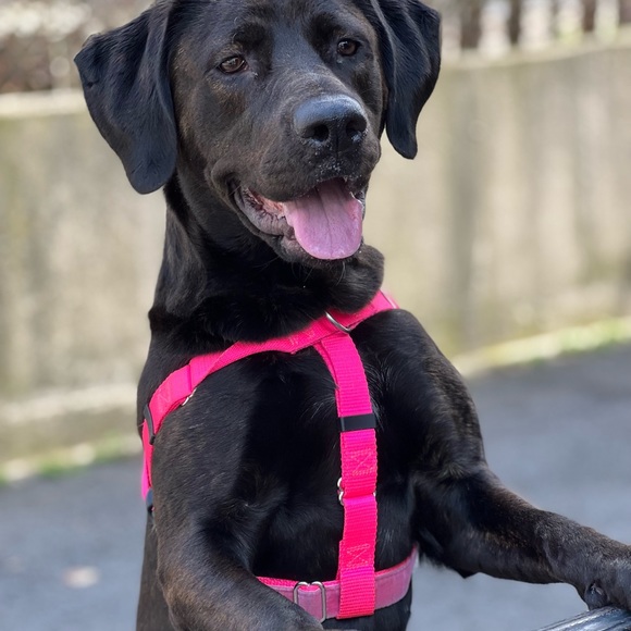 Meet your Posher, Jennifer - Picture 16 of 16